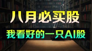 美股 我看好的一只AI股，八月必买入！