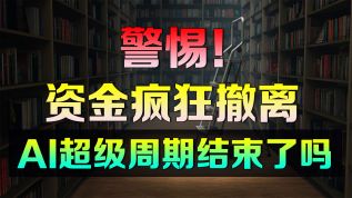 美股 警惕！资金正在疯狂撤离，AI超级周期结束了吗？