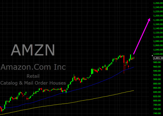 amzn-1001