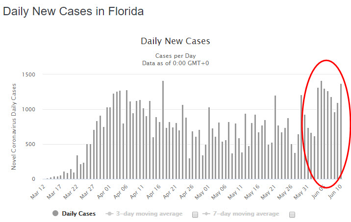 florida case 20200611