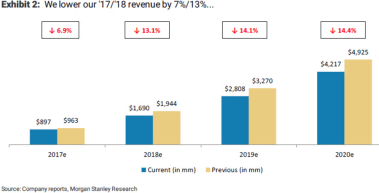 snap rev forecast 17711