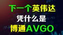 下一个英伟达是AVGO