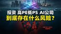 美股投资一家高PE低PS的AI公司风险
