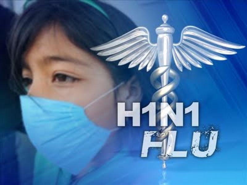 禽流感H1N1 和 H7N9卷土重来