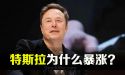 特斯拉为什么大涨