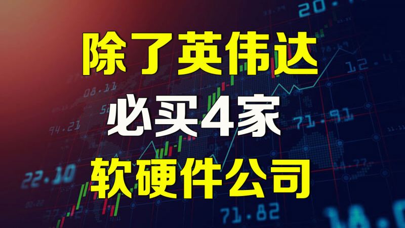 除了英伟达AI软硬件公司