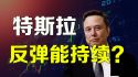 特斯拉反弹能持续？