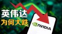 英伟达为何大跌