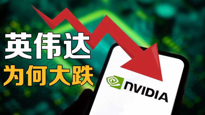 英伟达为何大跌